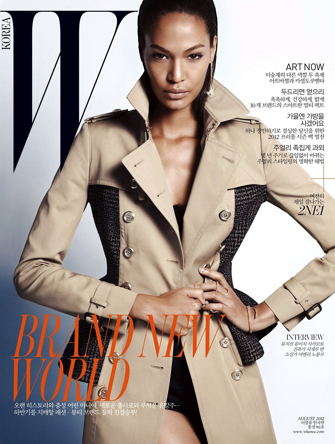Джоан Смоллс на обложке журнала W Korea, август 2012 г. На обложке журнала W Korea, август 2012 г.