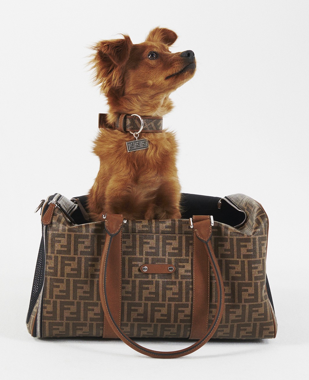Коллекция Fendi Pet Travel Line Carrier Bag Fendi Pet Travel Line Carrier Bag