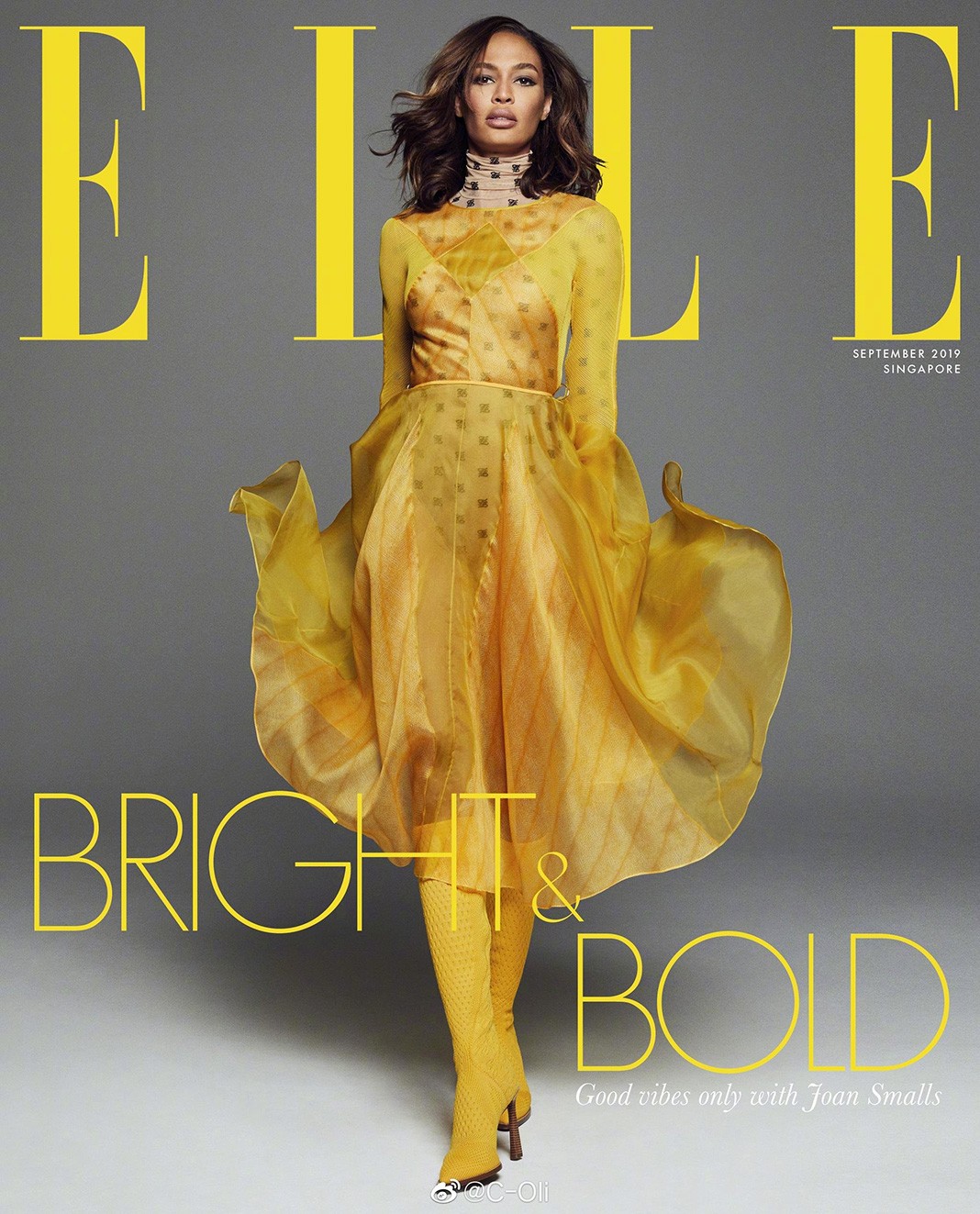 Джоан Смоллс на обложке журнала Elle Singapore, сентябрь 2019 г. На обложке журнала Elle Singapore, сентябрь 2019 г.