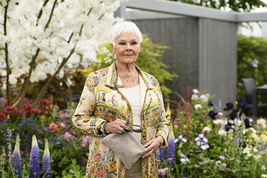 Джуди Денч на выставке цветов RHS Chelsea Flower Show, Лондон На выставке цветов RHS Chelsea Flower Show