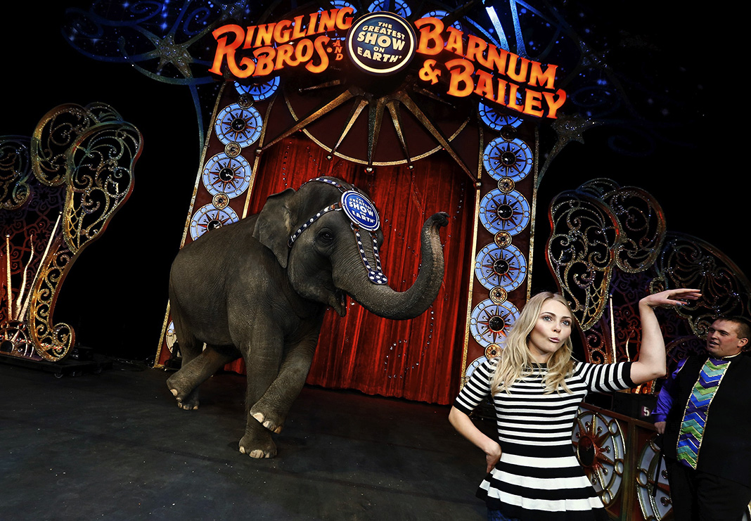 АннаСофия Робб на премьере шоу «Легенды» цирка Ringling Bros. and Barnum & Bailey Circus АннаСофия Робб на премьере шоу «Легенды»