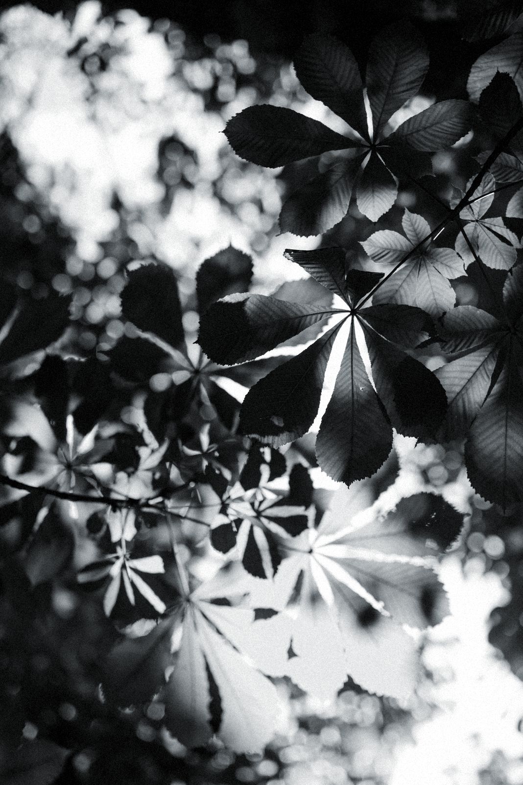 Фото: cottonbro, фото 6 Фотографии: cottonbro, фото 6