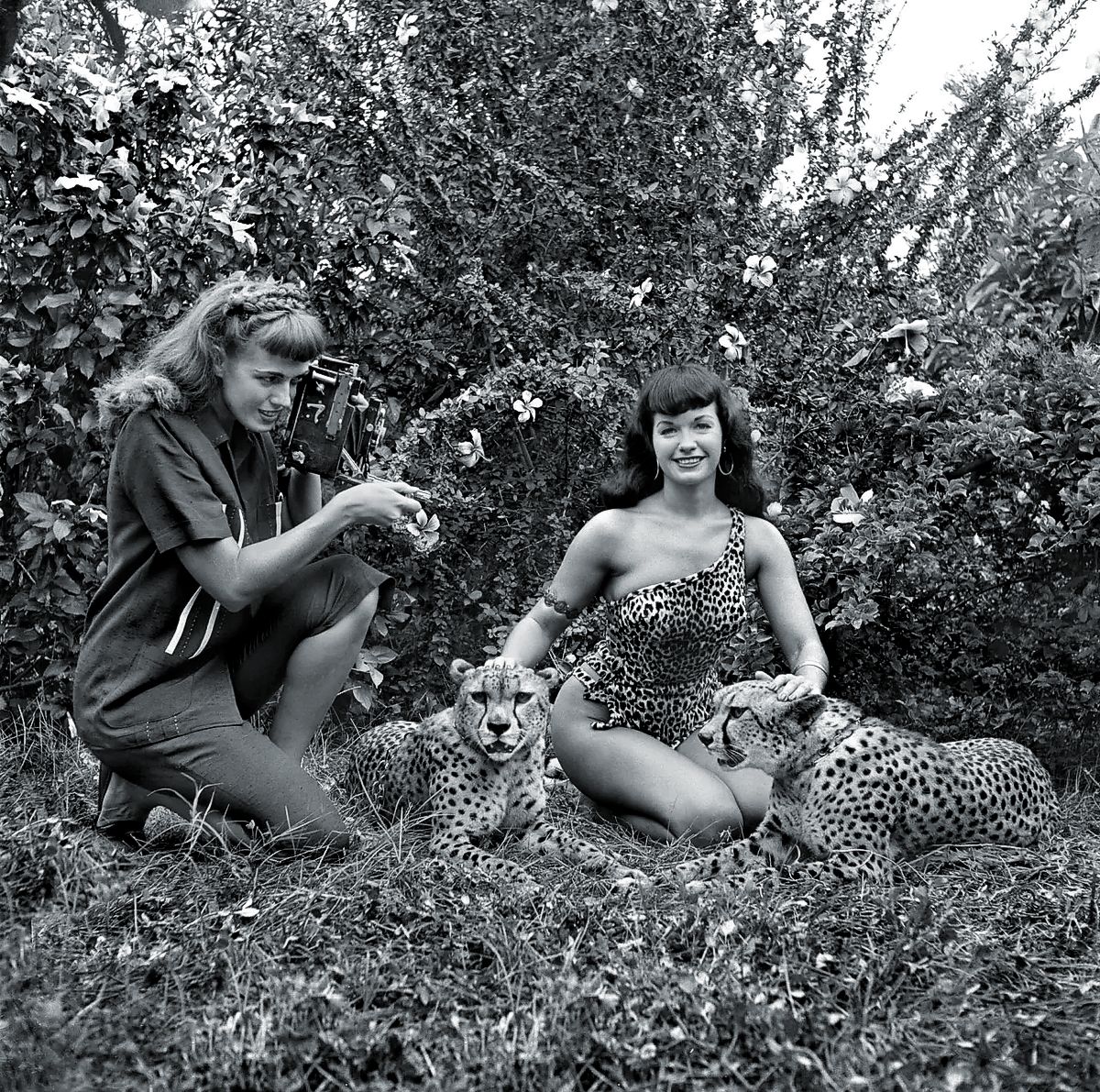 Банни Йегер, один из выдающихся фотографов кинозвезды, делает один из своих самых знаменитых снимков модели Бетти Пейдж. Банни Йегер, выдающийся фотограф 1950-х и 1960-х годов, делает один из своих самых знаменитых снимков модели Бетти Пейдж