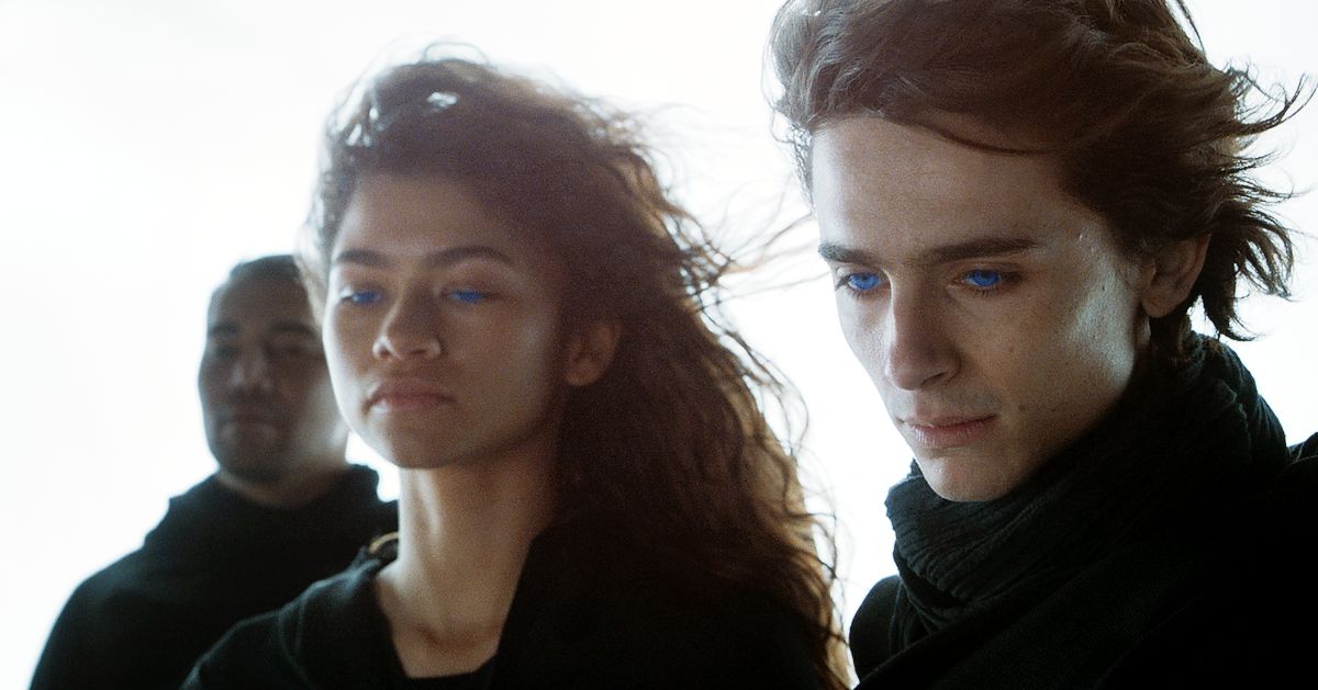 Зендая, Тимоти Шаламе в фильме «Дюна», 2019 г. Зендая, Тимоти Шаламе в фильме «Дюна»