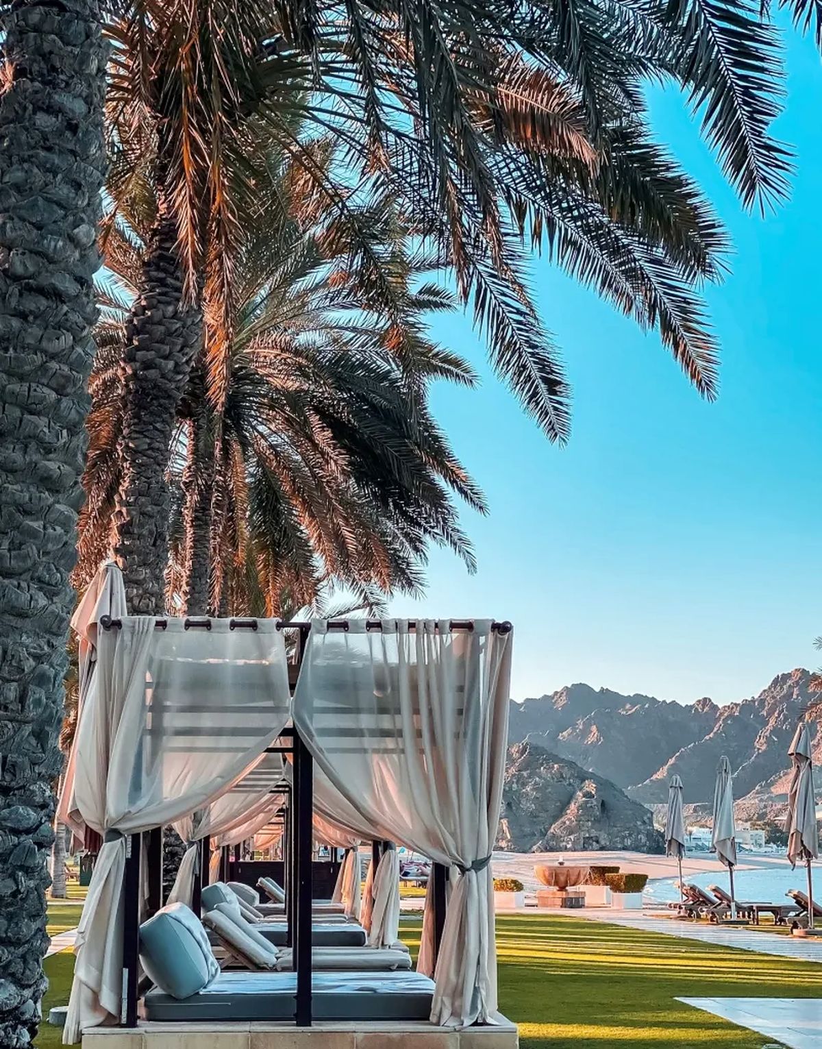 Отель Al Bustan Palace Ritz-Carlton, Оман, фото 5
