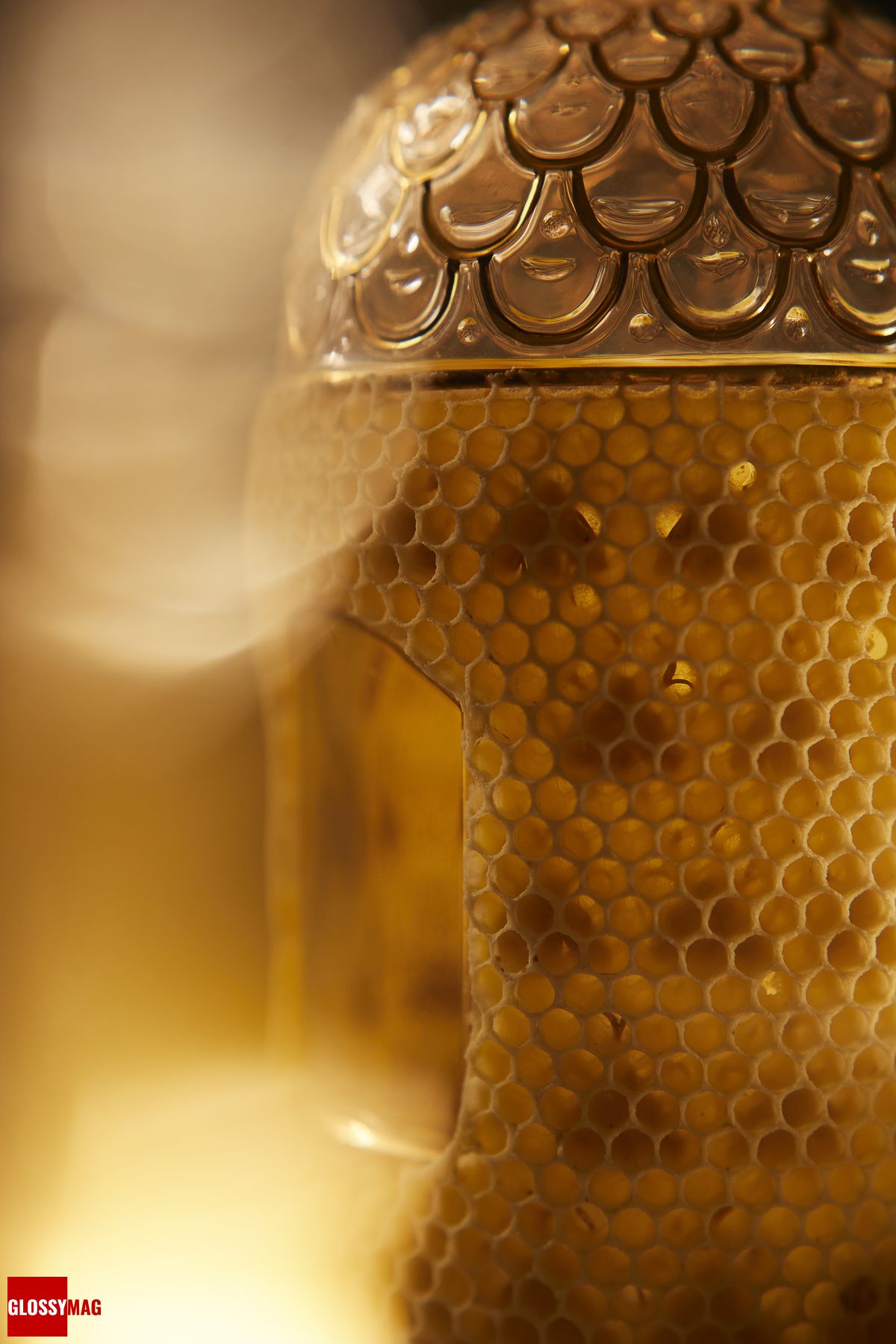 Дом Guerlain планирует собрать 1 миллион евро для развития программы по защите пчёл, фото 2 Дом Guerlain планирует собрать 1 миллион евро для защиты пчёл, фото 2