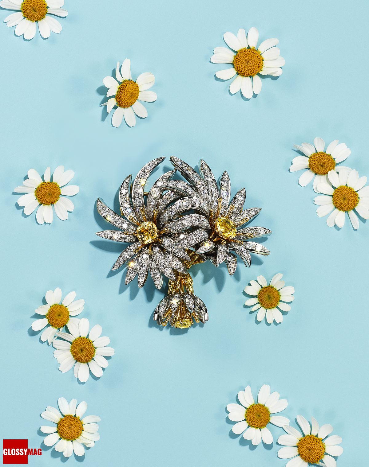 Коллекция Tiffany & Co. Botanica: Blue Book 2022, фото 10 Фантастический мир Жана Шлюмберже в коллекции Tiffany & Co. Botanica: Blue Book 2022, фото 10