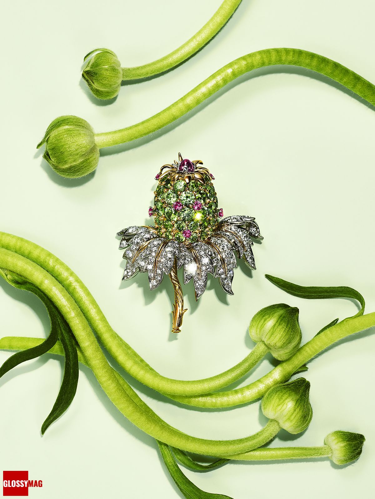 Коллекция Tiffany & Co. Botanica: Blue Book 2022, фото 14 Фантастический мир Жана Шлюмберже в коллекции Tiffany & Co. Botanica: Blue Book 2022, фото 14