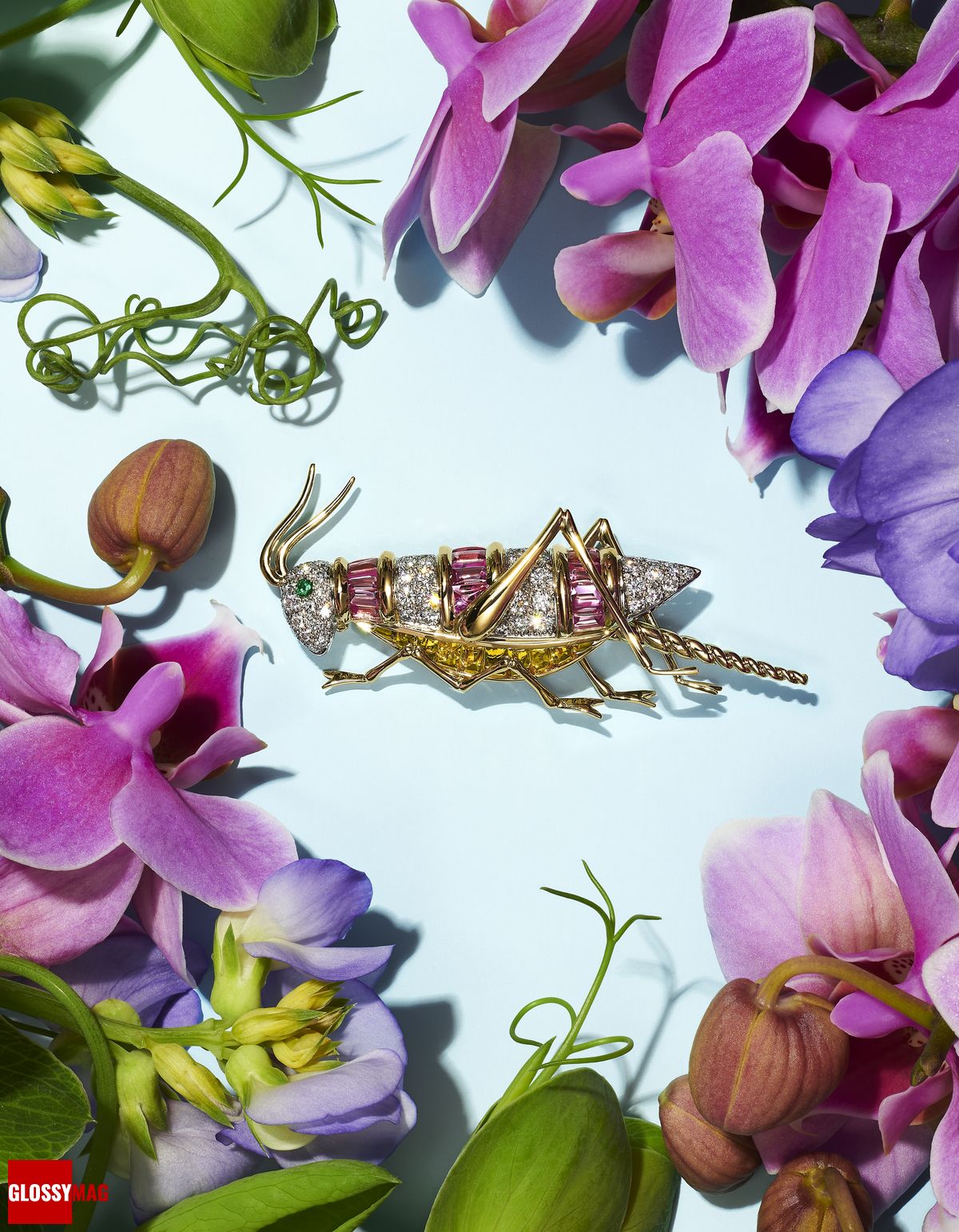 Коллекция Tiffany & Co. Botanica: Blue Book 2022, фото 15 Фантастический мир Жана Шлюмберже в коллекции Tiffany & Co. Botanica: Blue Book 2022, фото 15