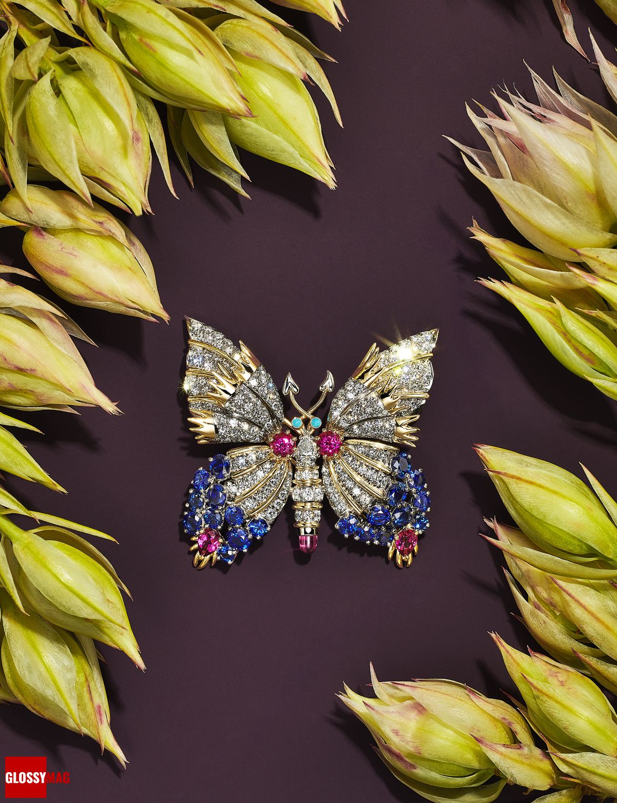Коллекция Tiffany & Co. Botanica: Blue Book 2022, фото 16 Фантастический мир Жана Шлюмберже в коллекции Tiffany & Co. Botanica: Blue Book 2022, фото 16
