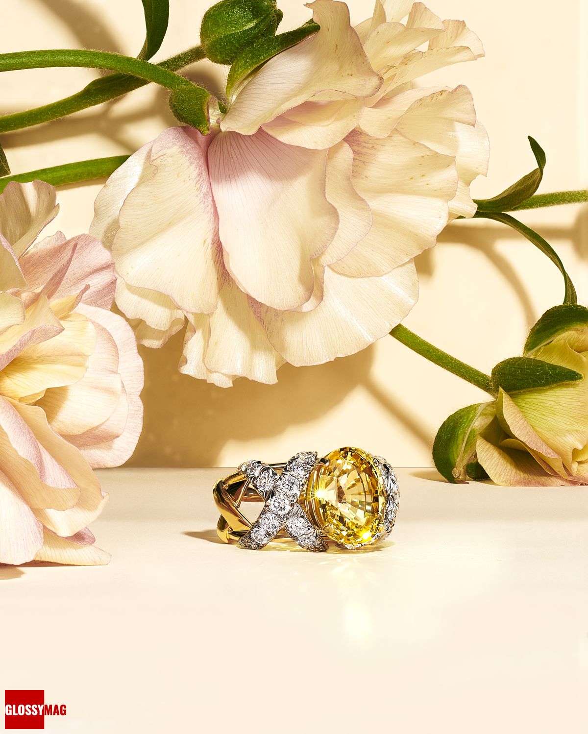 Коллекция Tiffany & Co. Botanica: Blue Book 2022, фото 2 Фантастический мир Жана Шлюмберже в коллекции Tiffany & Co. Botanica: Blue Book 2022, фото 2