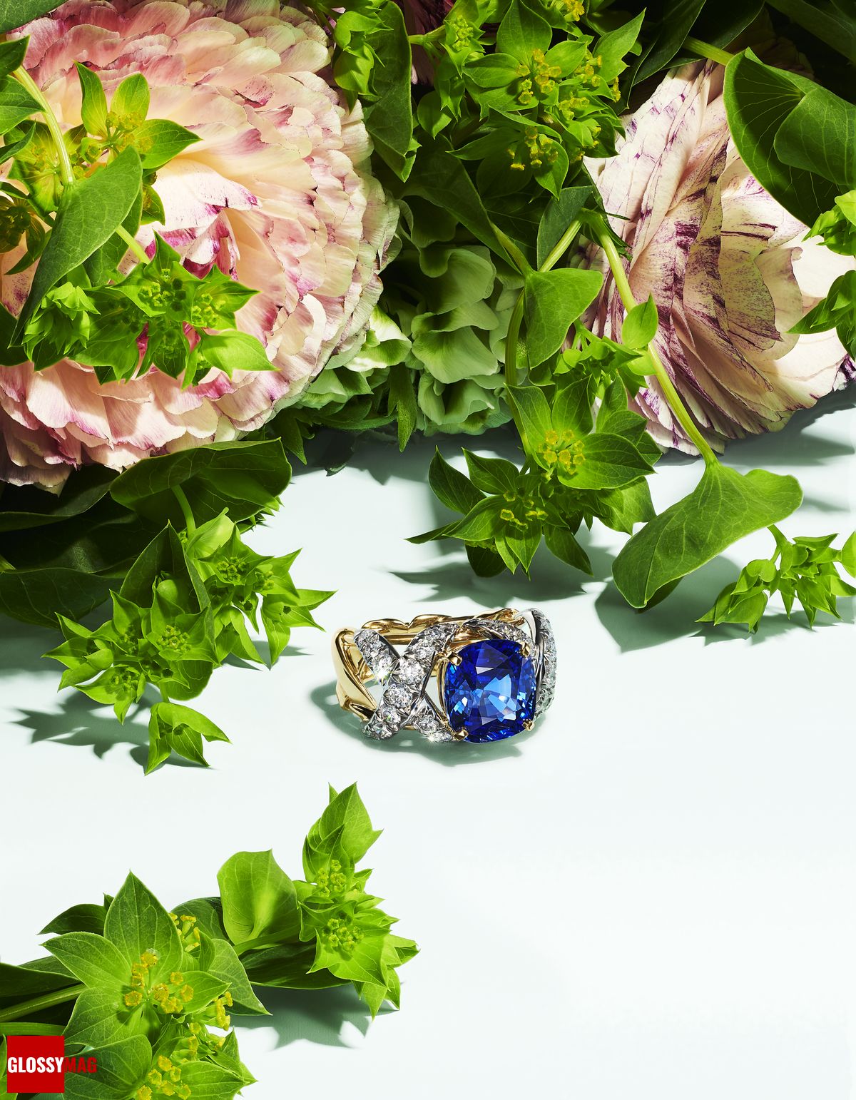 Коллекция Tiffany & Co. Botanica: Blue Book 2022, фото 20 Фантастический мир Жана Шлюмберже в коллекции Tiffany & Co. Botanica: Blue Book 2022, фото 20