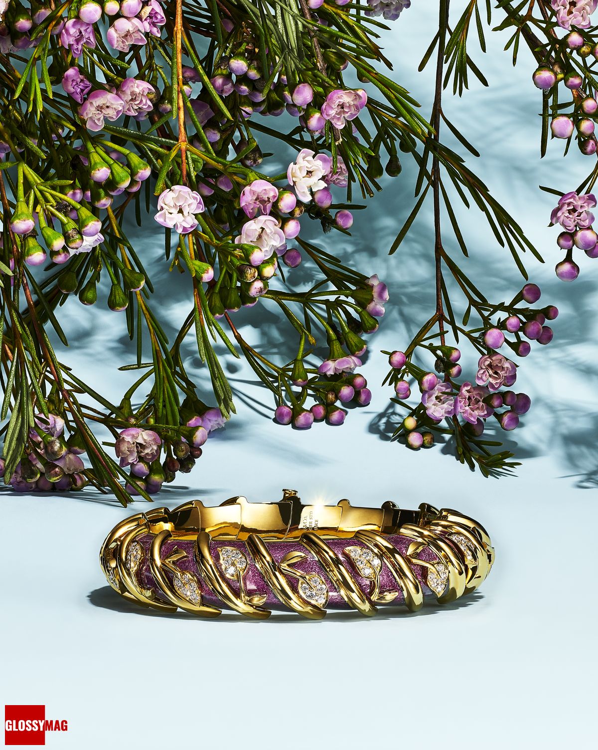 Коллекция Tiffany & Co. Botanica: Blue Book 2022, фото 22 Фантастический мир Жана Шлюмберже в коллекции Tiffany & Co. Botanica: Blue Book 2022, фото 22