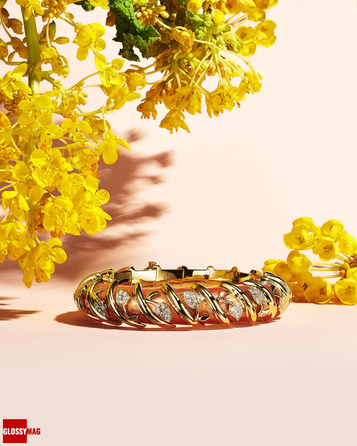 Коллекция Tiffany & Co. Botanica: Blue Book 2022, фото 23 Фантастический мир Жана Шлюмберже в коллекции Tiffany & Co. Botanica: Blue Book 2022, фото 23