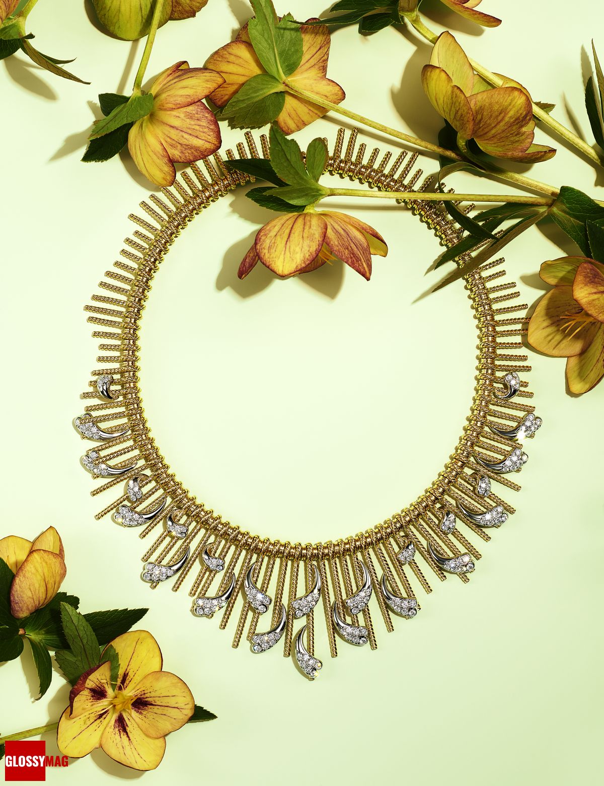 Коллекция Tiffany & Co. Botanica: Blue Book 2022, фото 4 Фантастический мир Жана Шлюмберже в коллекции Tiffany & Co. Botanica: Blue Book 2022, фото 4