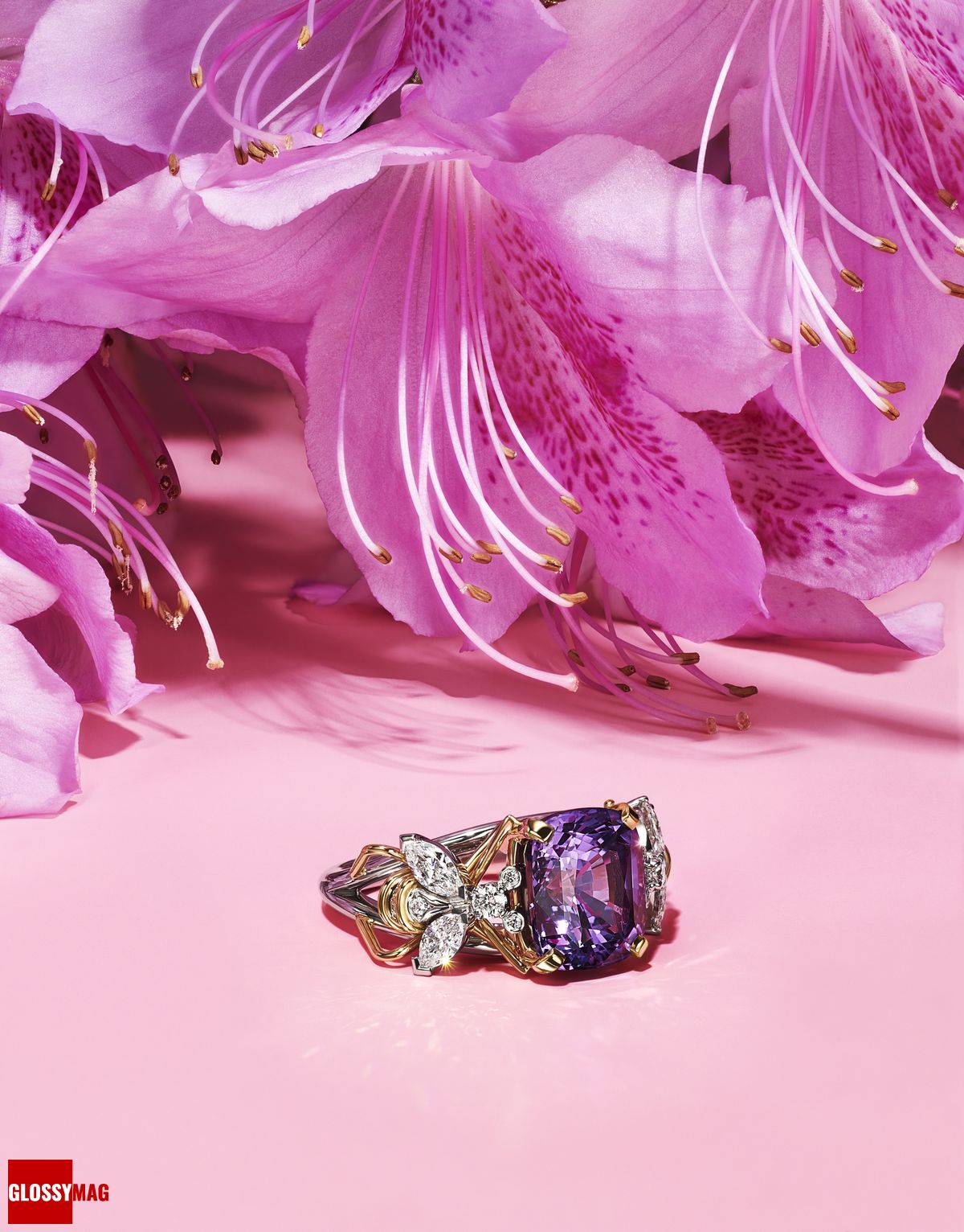 Коллекция Tiffany & Co. Botanica: Blue Book 2022, фото 5 Фантастический мир Жана Шлюмберже в коллекции Tiffany & Co. Botanica: Blue Book 2022, фото 5