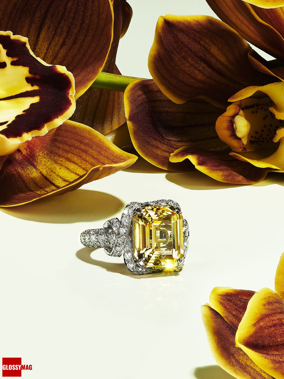 Коллекция Tiffany & Co. Botanica: Blue Book 2022, фото 6 Фантастический мир Жана Шлюмберже в коллекции Tiffany & Co. Botanica: Blue Book 2022, фото 6