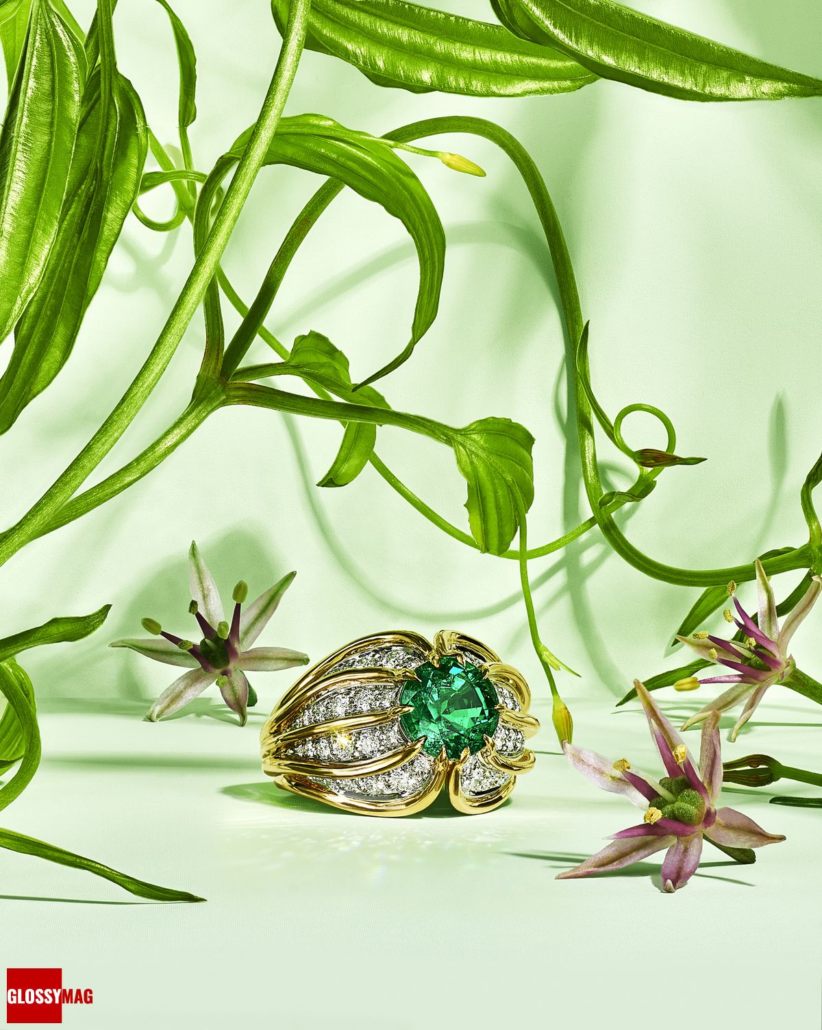Коллекция Tiffany & Co. Botanica: Blue Book 2022, фото 7 Фантастический мир Жана Шлюмберже в коллекции Tiffany & Co. Botanica: Blue Book 2022, фото 7