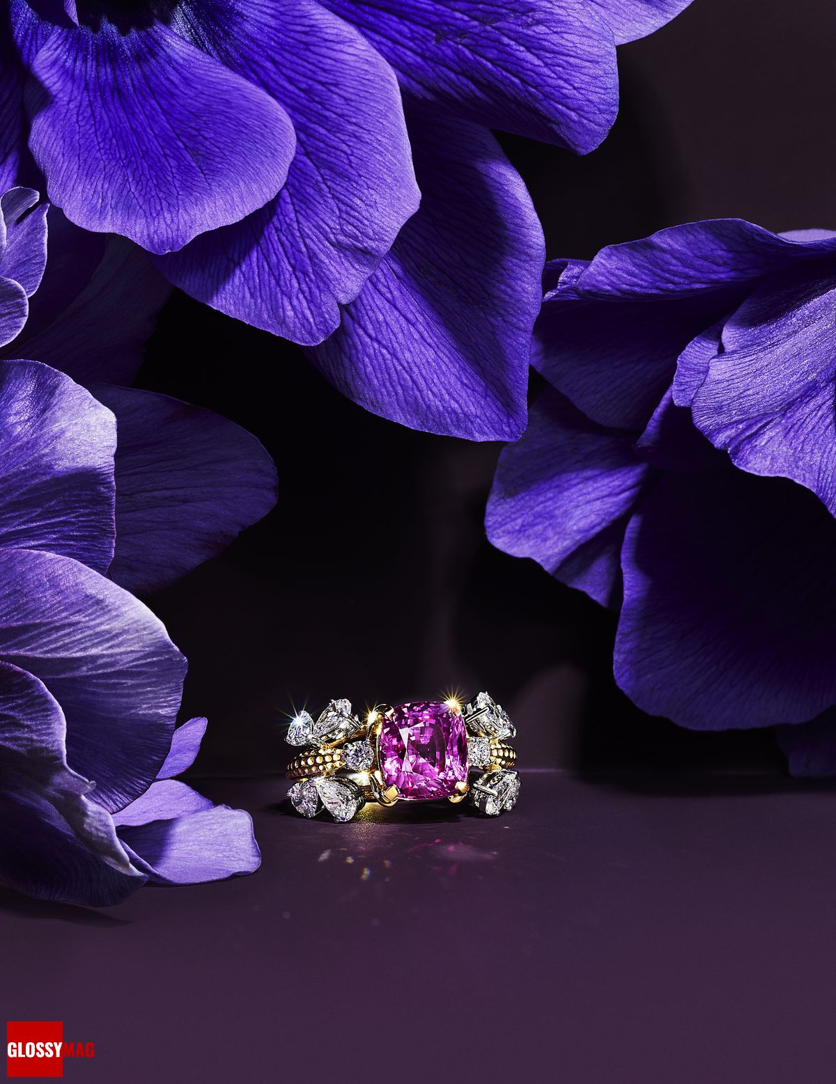 Коллекция Tiffany & Co. Botanica: Blue Book 2022, фото 8 Фантастический мир Жана Шлюмберже в коллекции Tiffany & Co. Botanica: Blue Book 2022, фото 8