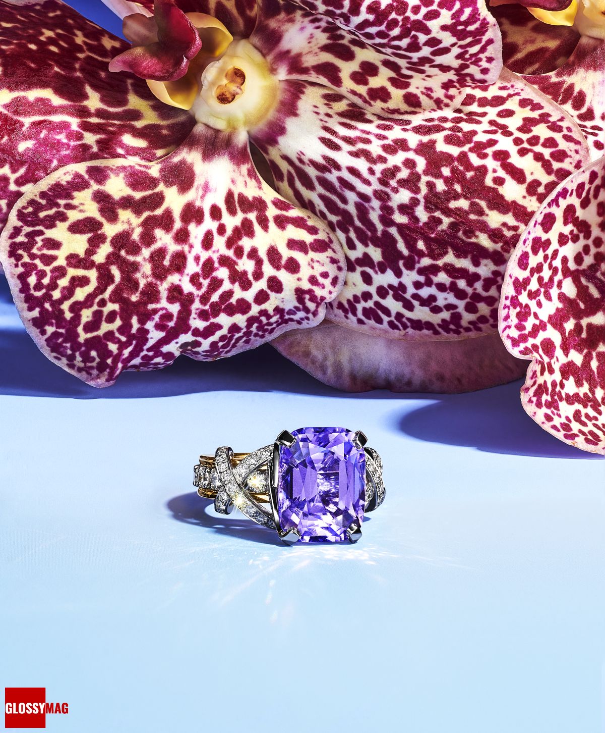 Коллекция Tiffany & Co. Botanica: Blue Book 2022, фото 9 Фантастический мир Жана Шлюмберже в коллекции Tiffany & Co. Botanica: Blue Book 2022, фото 9
