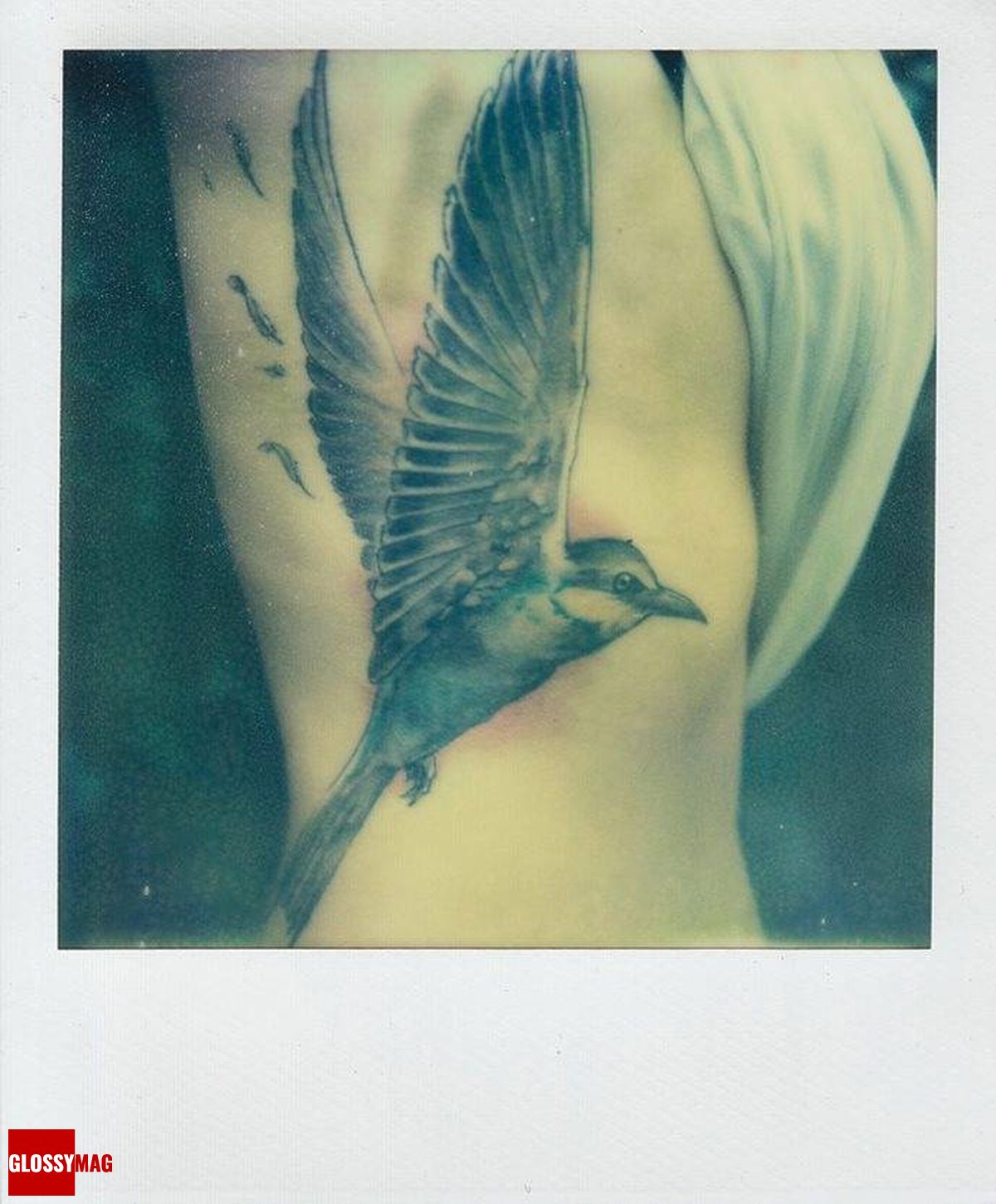 Сайрус Махбубиан (Cyrus Mahboubian). «Tattoo», фотография, Великобритания Сайрус Махбубиан (Cyrus Mahboubian). «Tattoo», фотография, Великобритания, 2013 г.