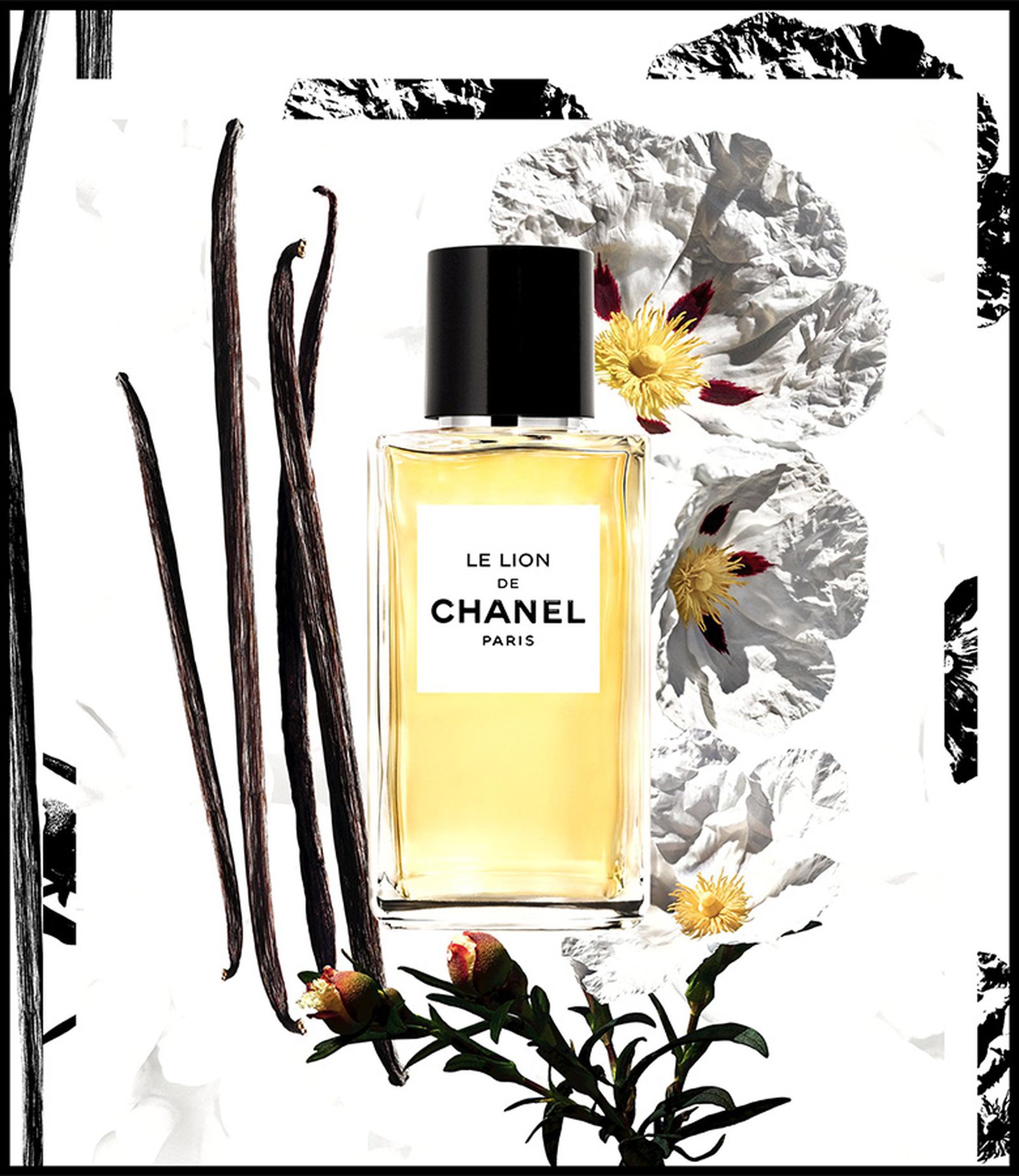 Le Lion de Chanel: обновление эксклюзивной коллекции ароматов Les Exclusifs De Chanel, фото 2 обновление эксклюзивной коллекции ароматов Les Exclusifs De Chanel, фото 2
