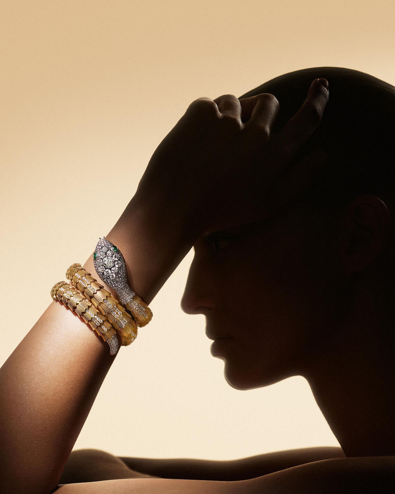 Выставка «Bvlgari Serpent: 75 лет бесконечных историй» в музее Тиссена-Борнемисы продлится до 16 апреля 2023, фото 8 Выставка «Bvlgari Serpent: 75 лет бесконечных историй» в музее Тиссена-Борнемисы, фото 8