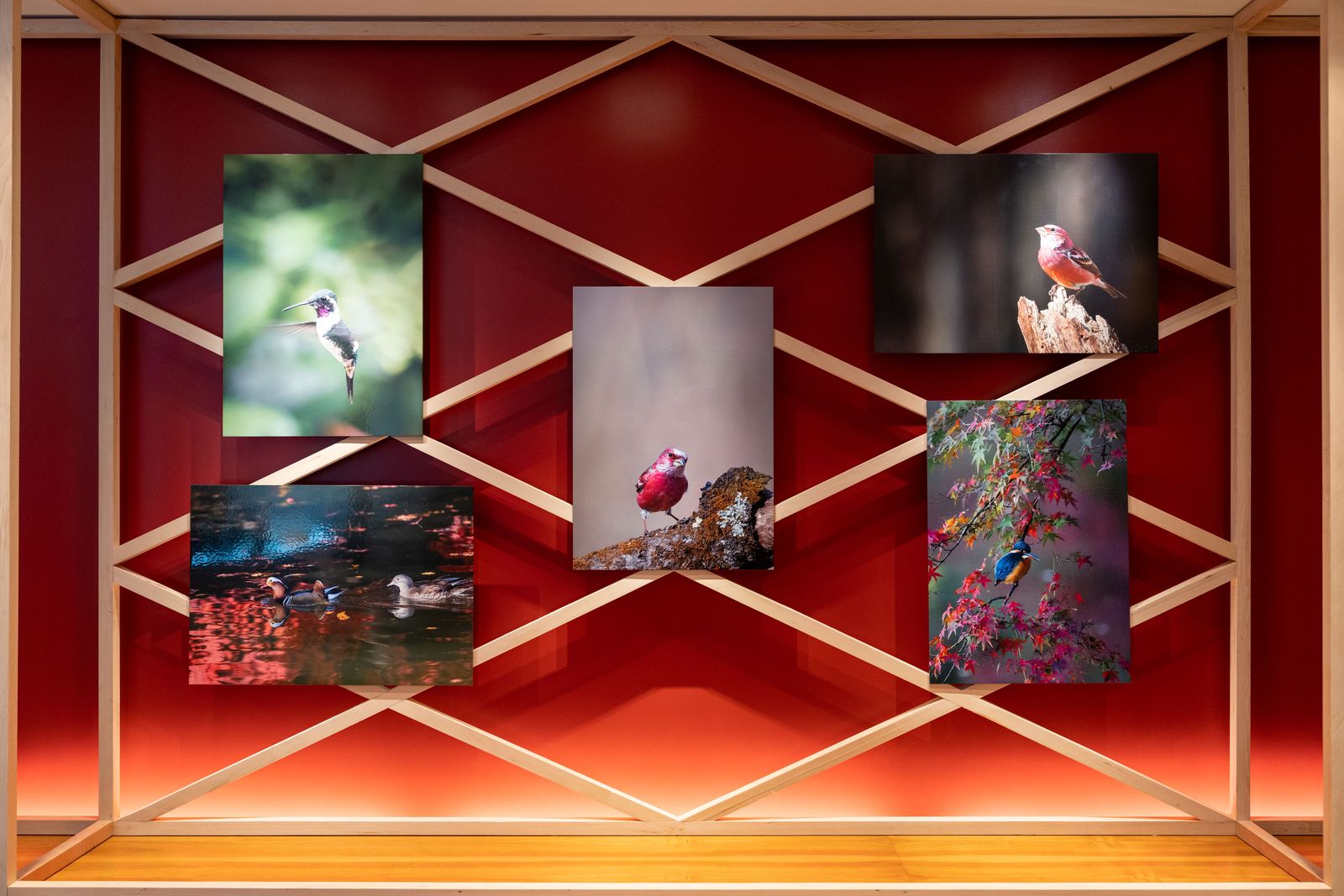 На циферблате часов Chopard L.U.C XP BirdLife поселилась Сибирская чечевица, фото 3