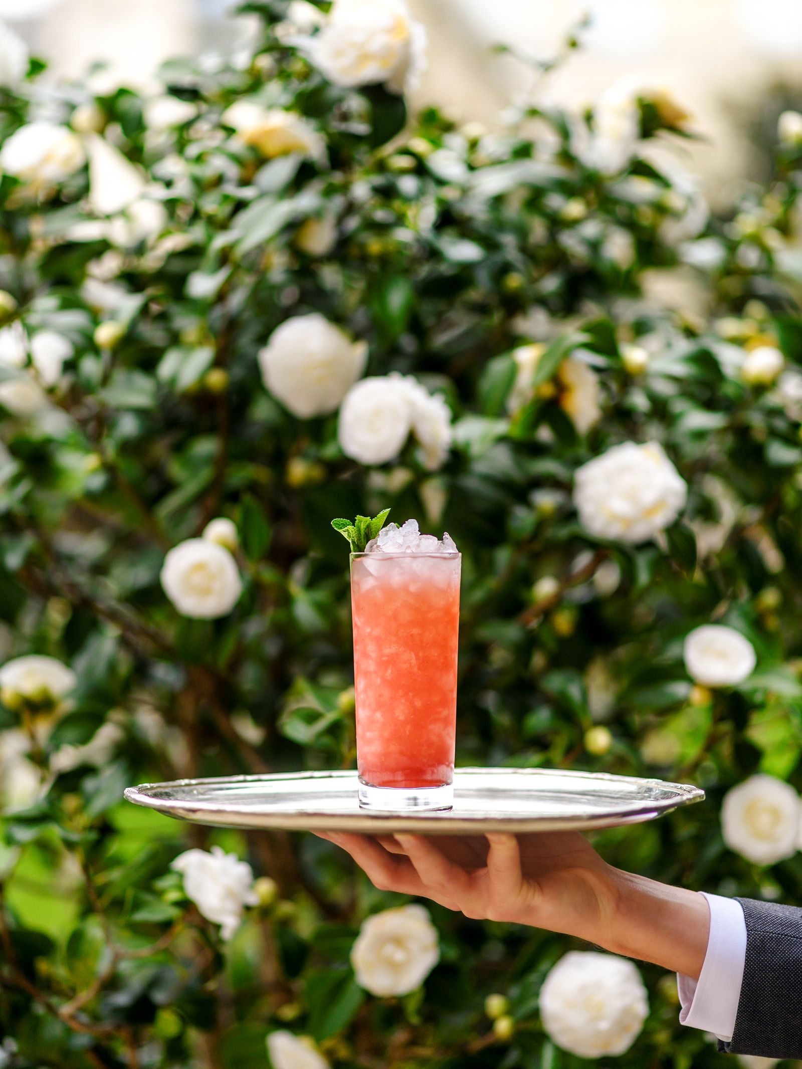 Кинофестиваль парижского гранд-отеля Ritz под открытым небом в саду Grand Jardin пройдет с 11 по 13 июля, фото 2 Кинофестиваль парижского гранд-отеля Ritz под открытым небом с 11 по 13 июля, фото 4