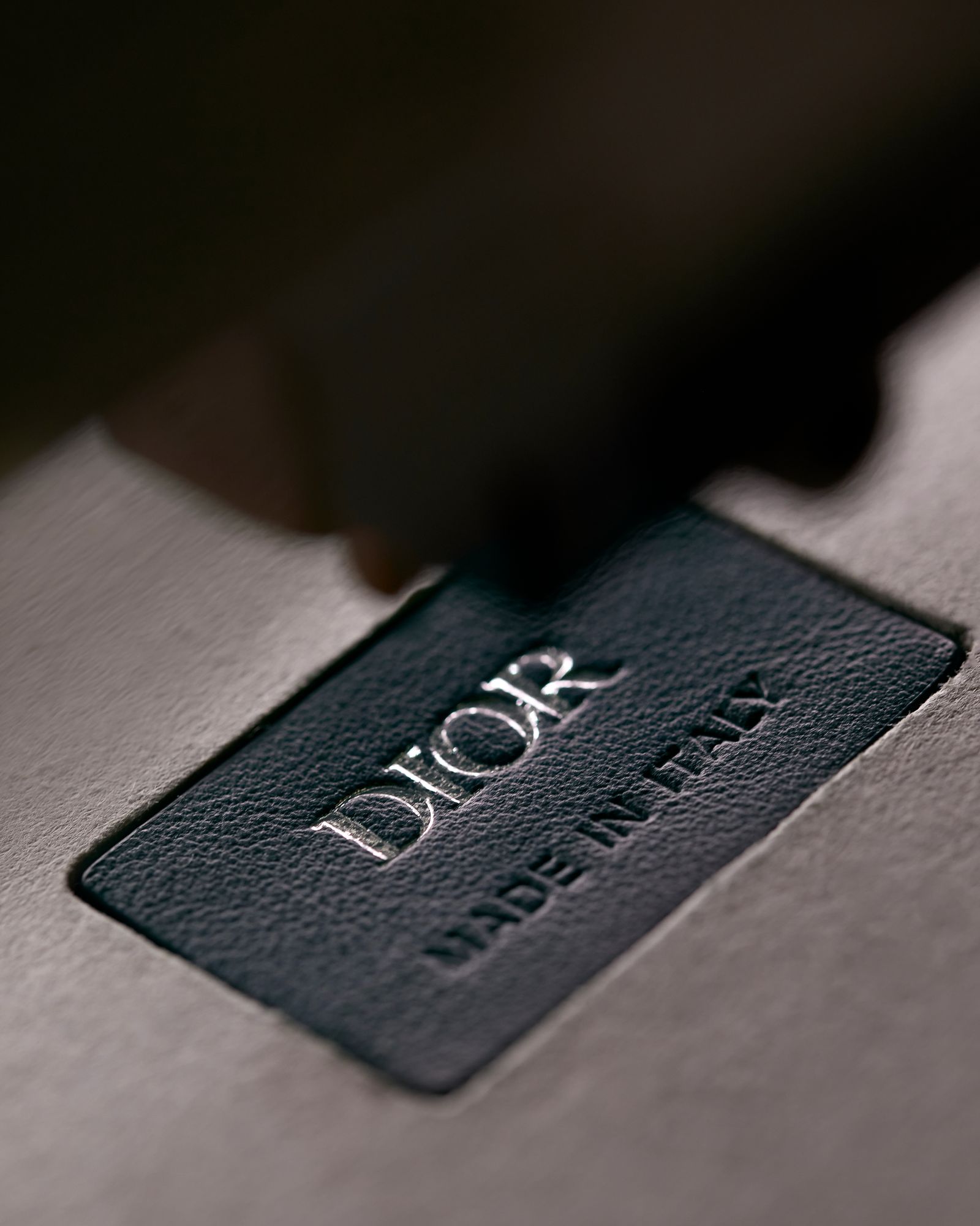 Новая мужская сумка-скарабей Dior Scarab была представлена на шоу Dior Fall 2023 в Гизе, фото 2 Новая мужская сумка-скарабей Dior Scarab, фото 2