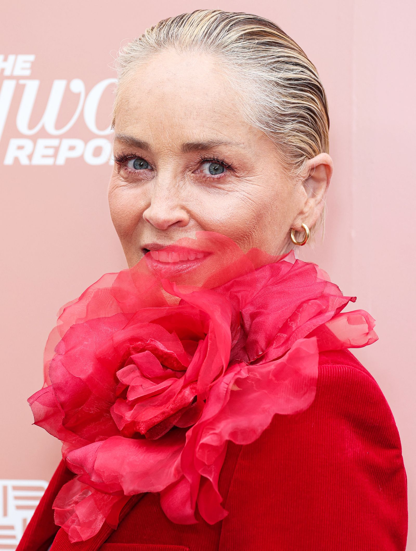 Шэрон Стоун на мероприятии «Raising Our Voices» издания The Hollywood Reporter, фото 2 Шэрон Стоун на мероприятии «Raising Our Voices» издания The Hollywood Reporter, 31 мая 2023 г., фото 2