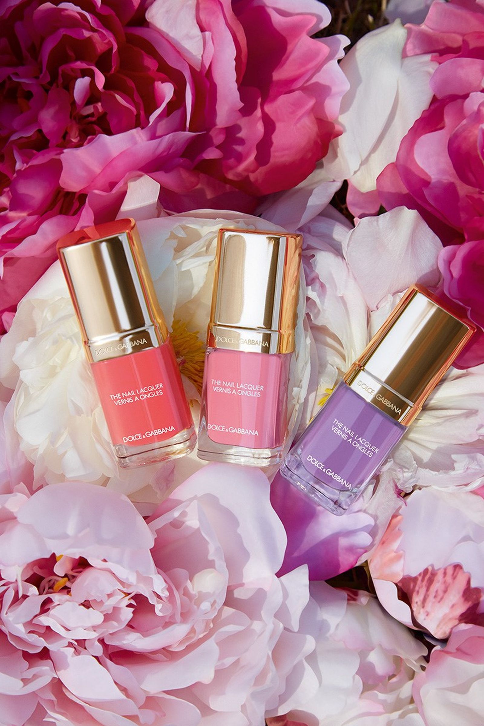 Dolce & Gabbana, лаки Peony Lovers Dolce & Gabbana, лаки для ногтей Peony Lovers