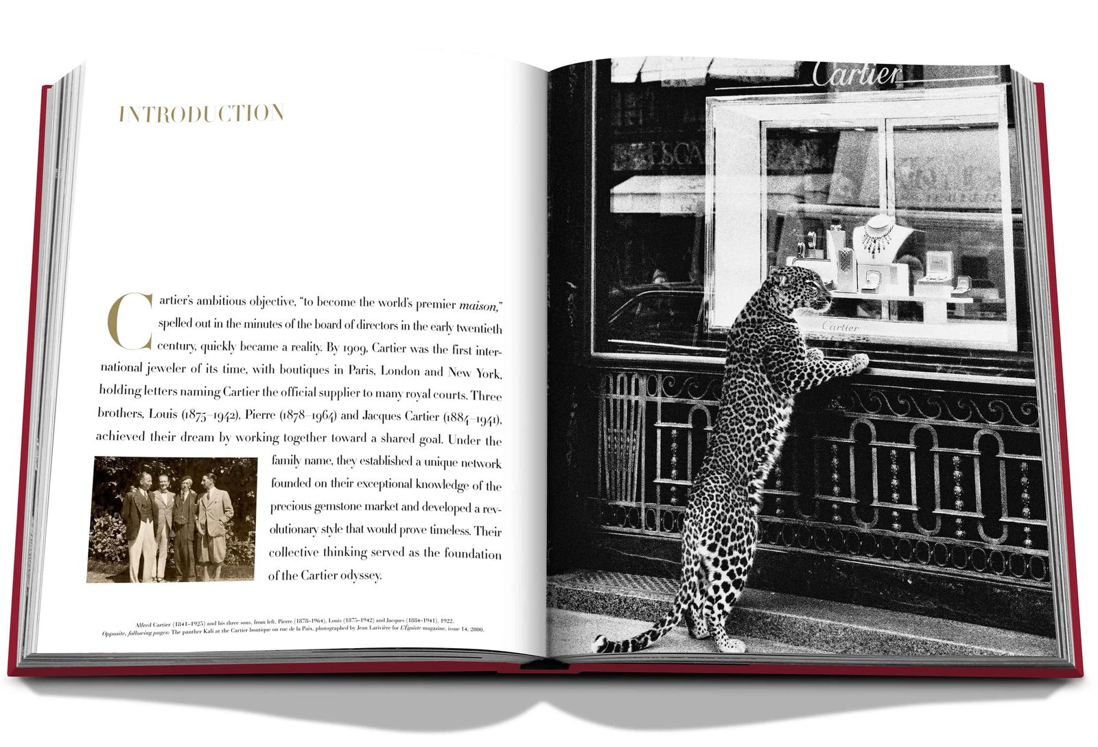 «The Impossible Collection» Cartier, фото 1