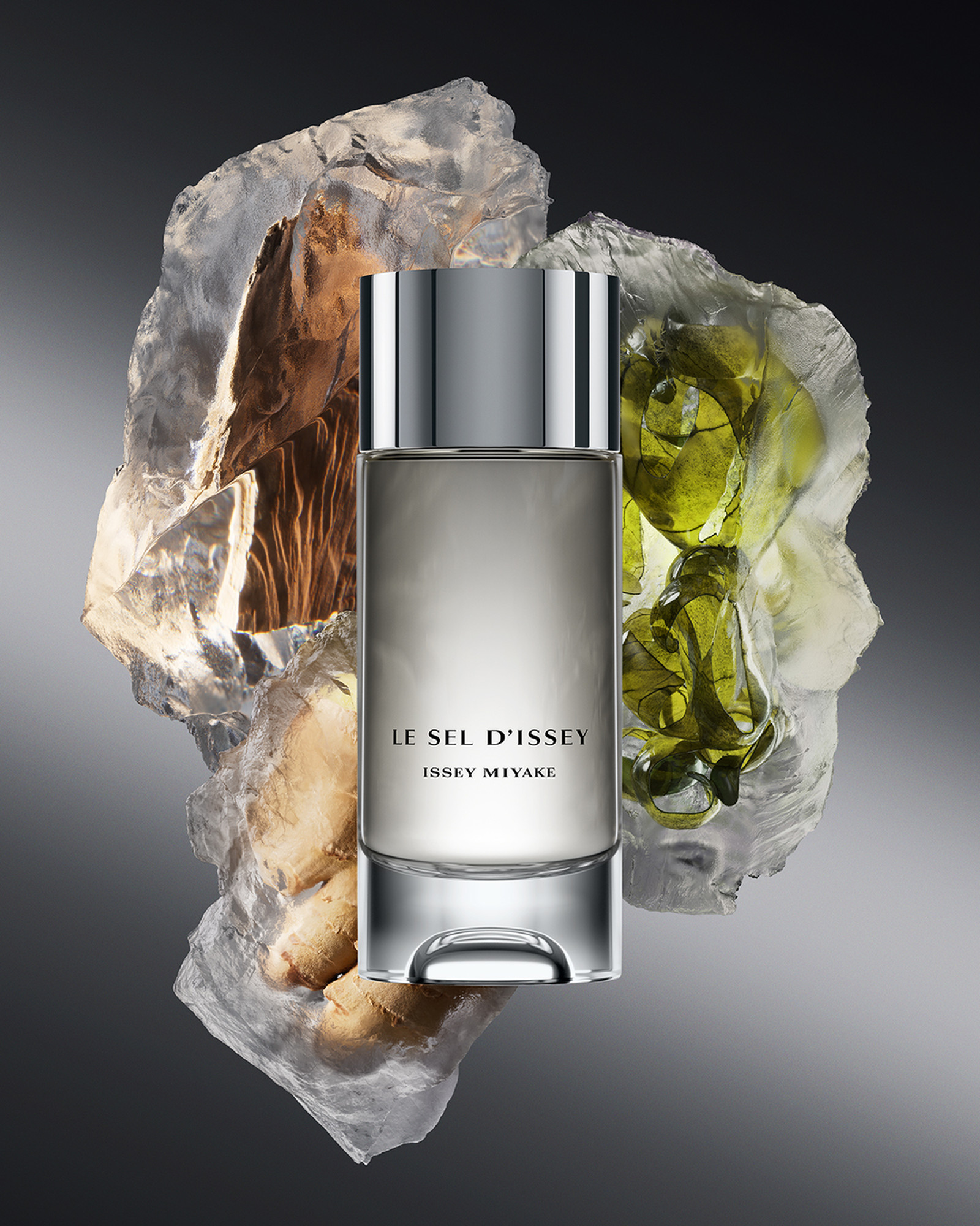 Тенденции мужской парфюмерии 2024: Issey Miyake Le Sel d’Issey Аромат Le Sel d’Issey от Issey Miyake