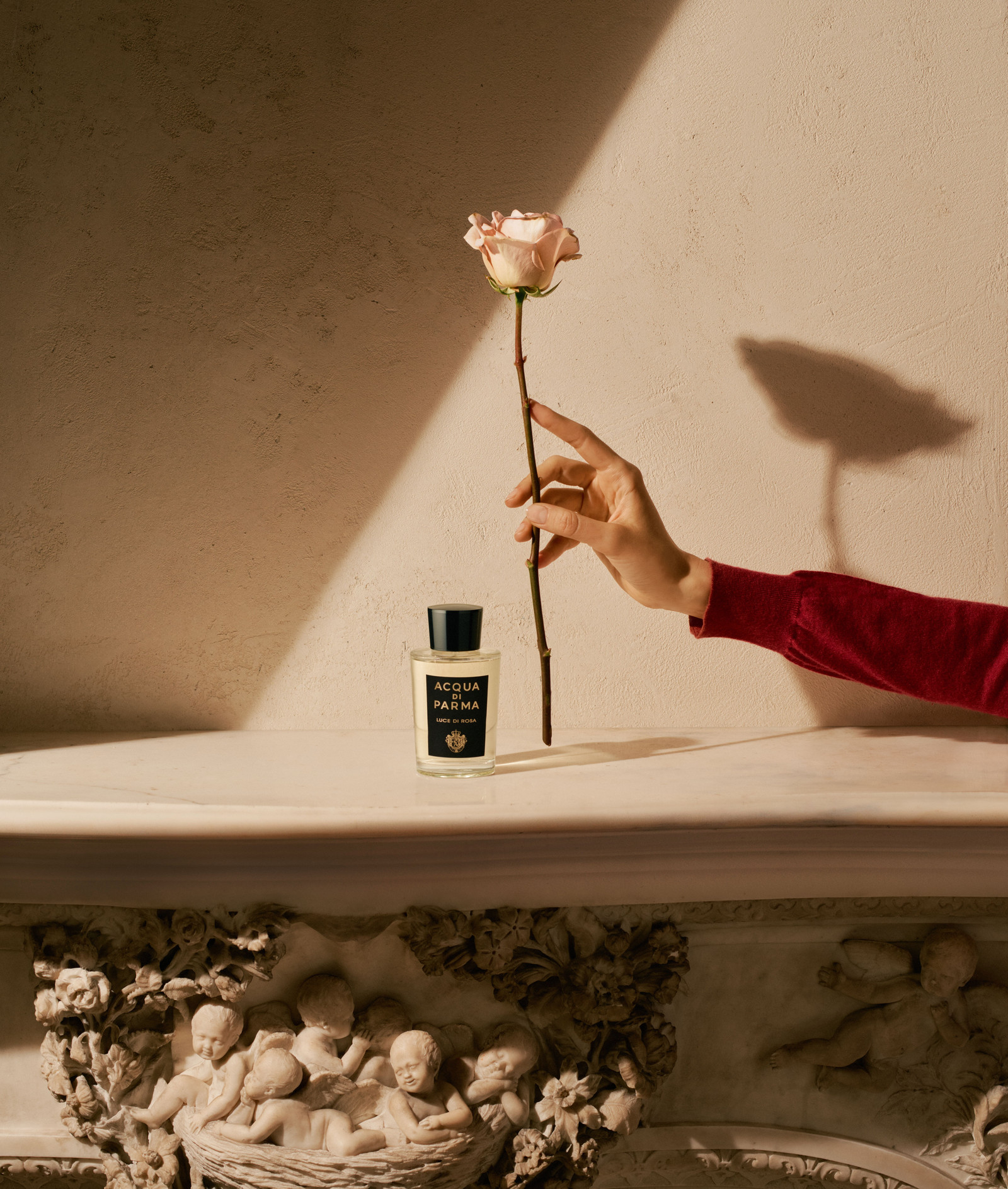 Парфюмерные тенденции 2024: Acqua di Parma Luce di Rosa Аромат Luce di Rosa от Acqua di Parma