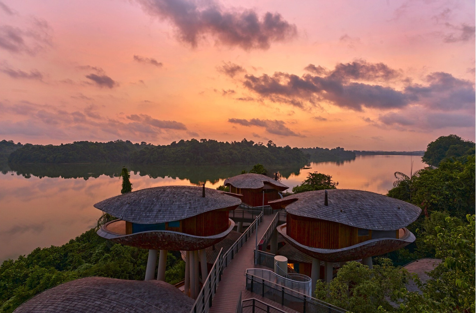 Отель Mandai Rainforest Resort by Banyan Tree в Сингапуре Новые отели Accor 2025: Mandai Rainforest Resort by Banyan Tree, Сингапур
